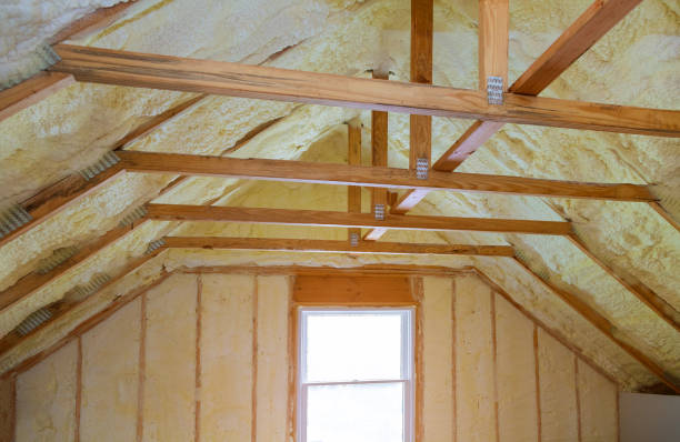 Best Cellulose Insulation  in Swanton, OH