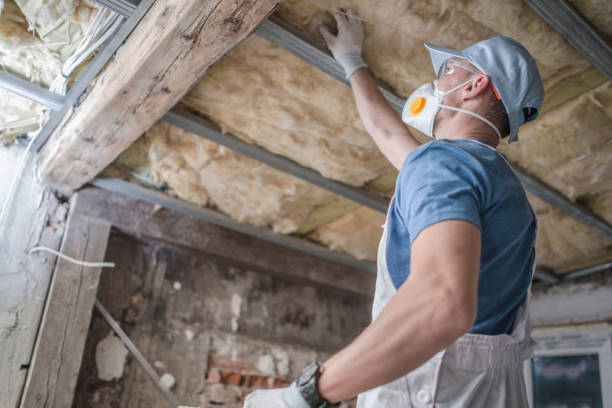 Best Insulation Replacement Services  in Swanton, OH