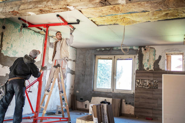 Insulation Repair Services in Swanton, OH