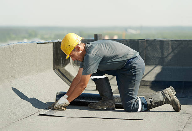 Best Local Insulation Services  in Swanton, OH