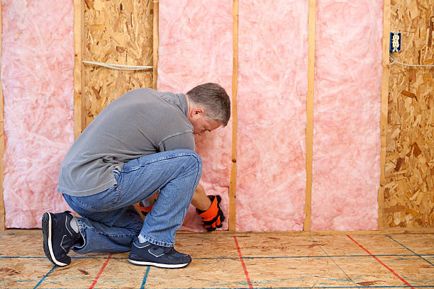 Best Home Insulation Services  in Swanton, OH