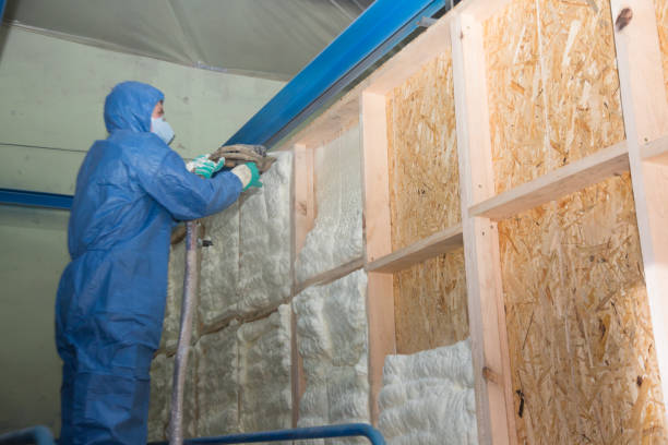 Best Soundproof Insulation Installation  in Swanton, OH