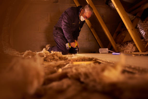 Best Insulation Repair Services  in Swanton, OH